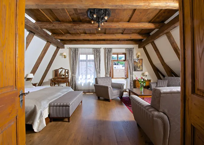 U Mecenase Apartament